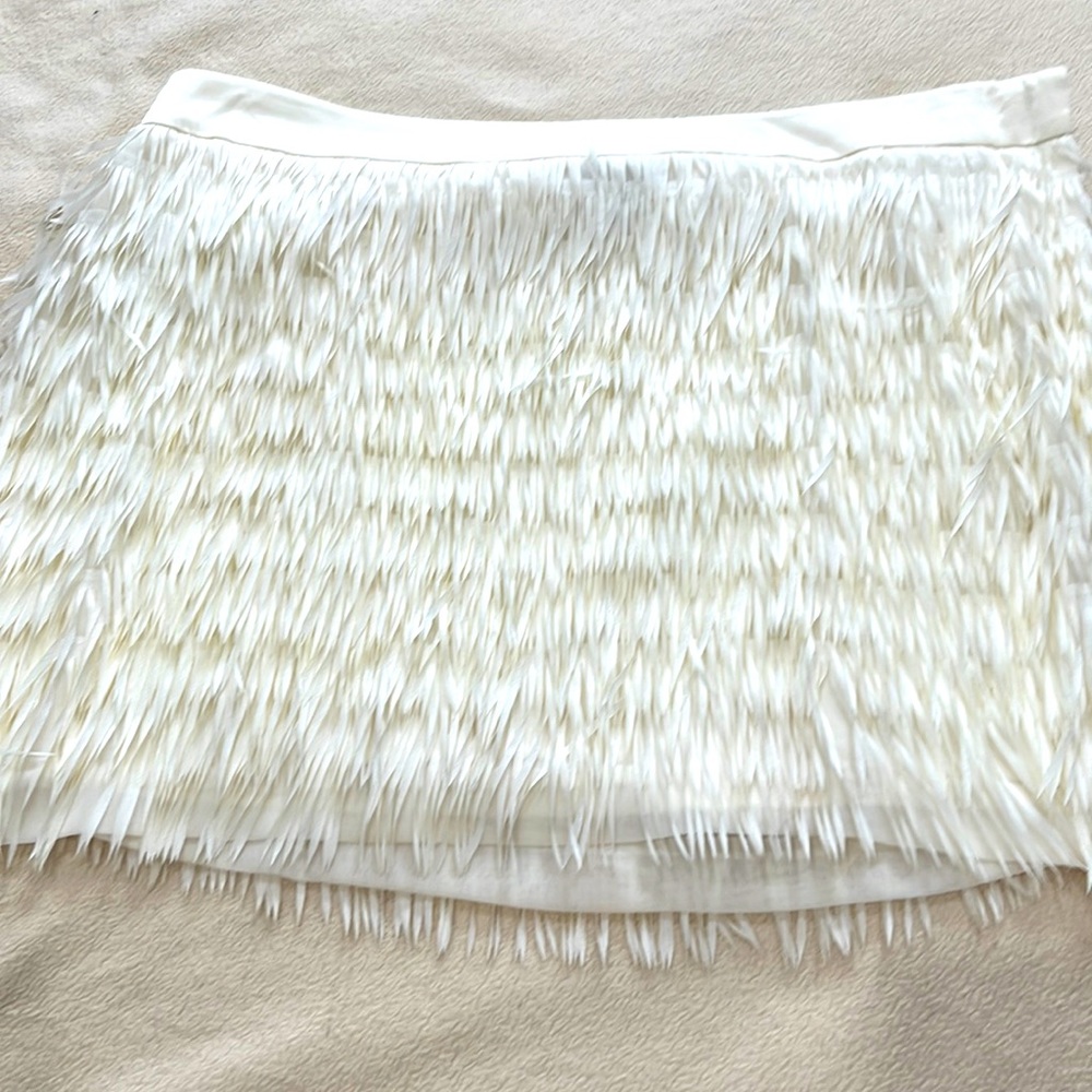 Skirt from Express